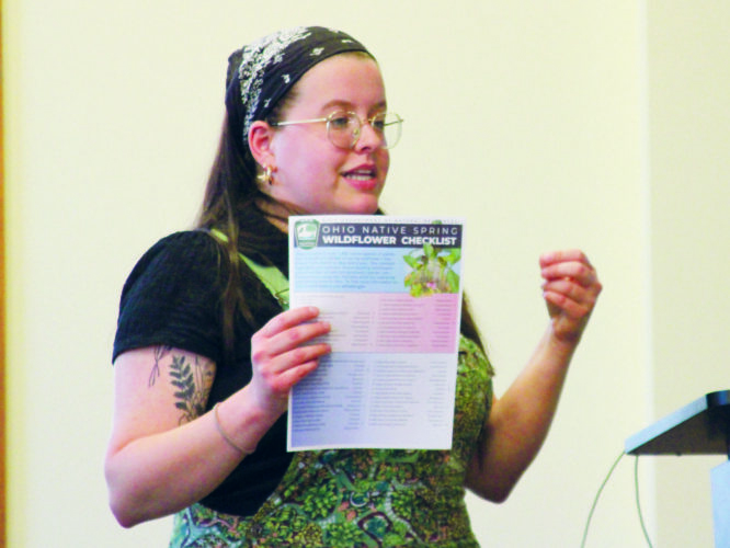Spring wildflower workshop